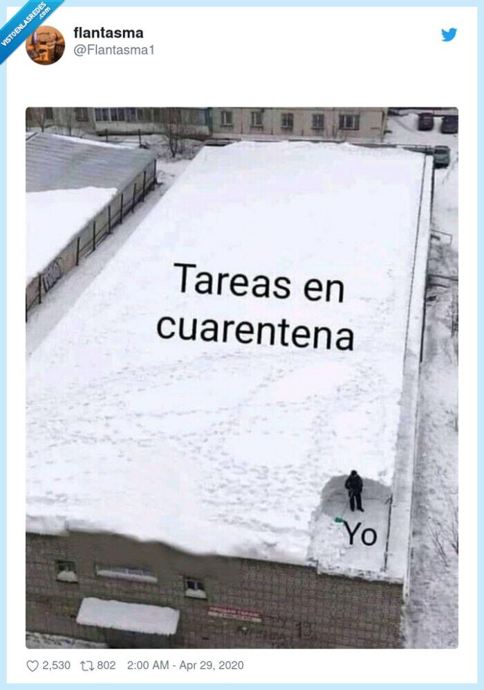 tareas,cuarentena