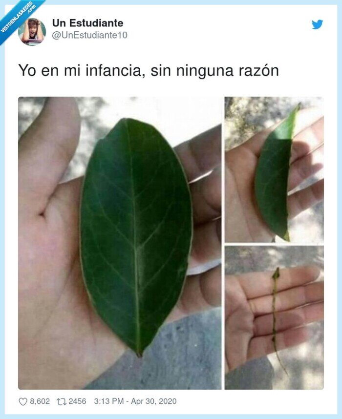 infancia,hoja,romper,deshojar