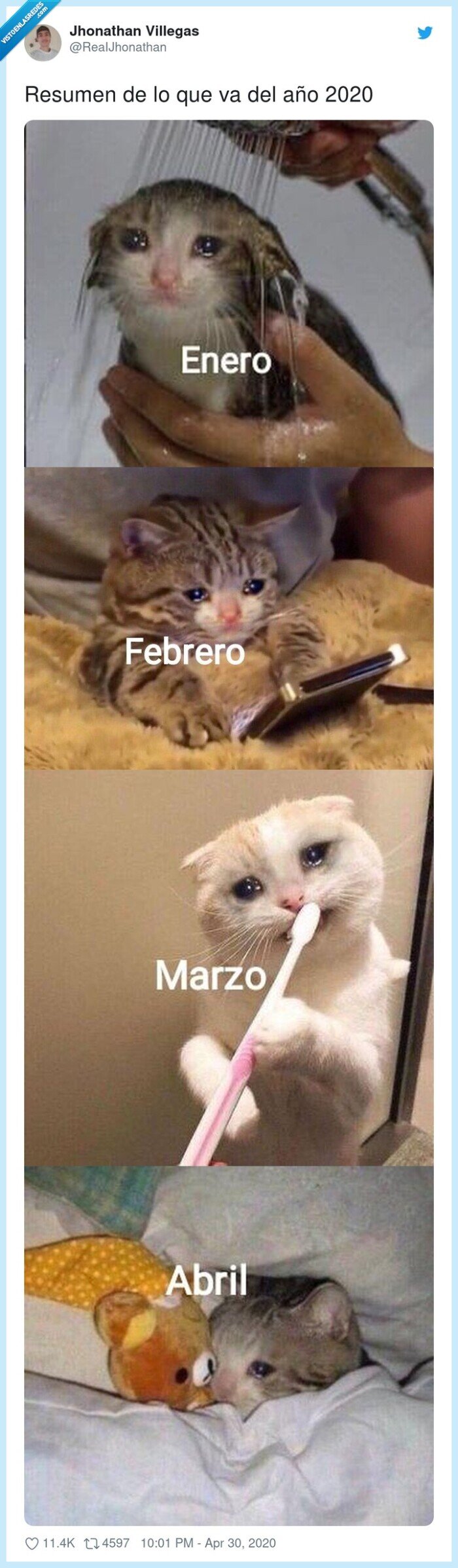 resumen,año,2020,gatos,tristes
