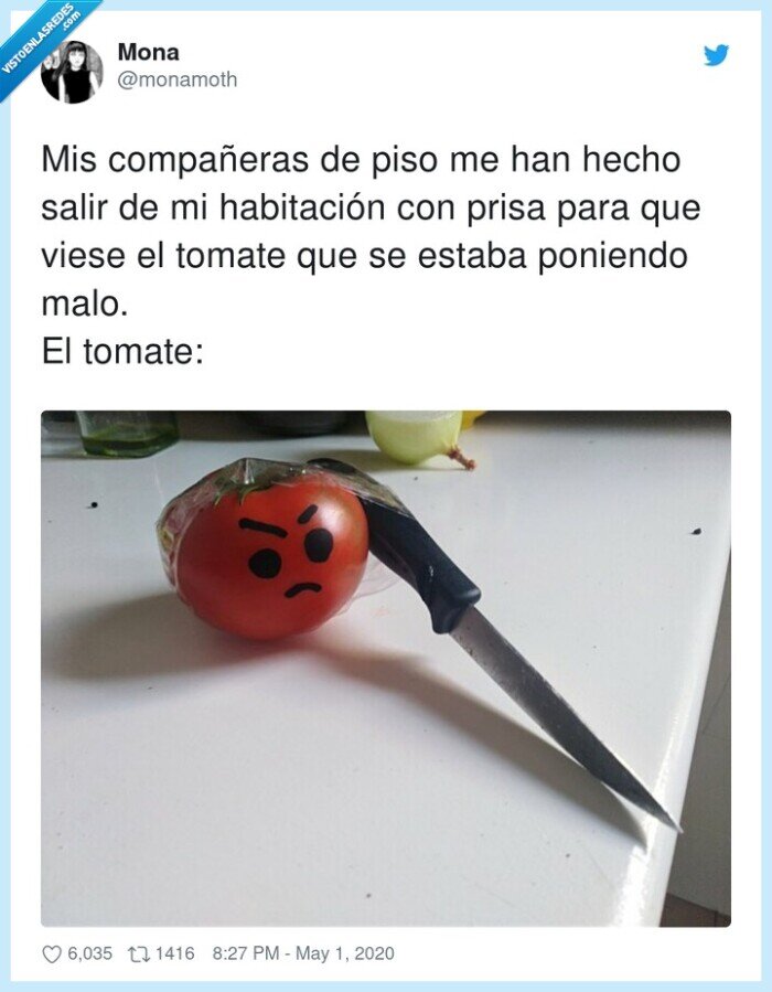 570007 - Tomates delincuentes, por @monamoth