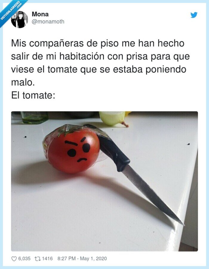 habitación,compañeras,poniendo,tomate mal