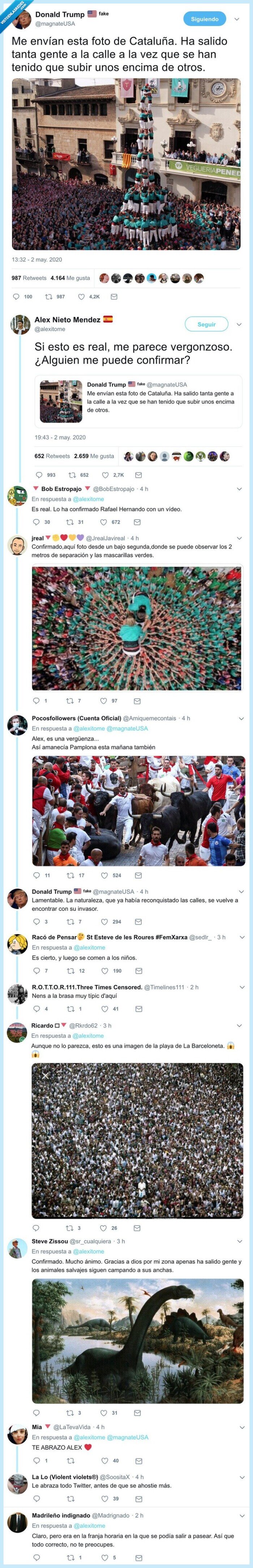 castellers,confinamiento,pardillo