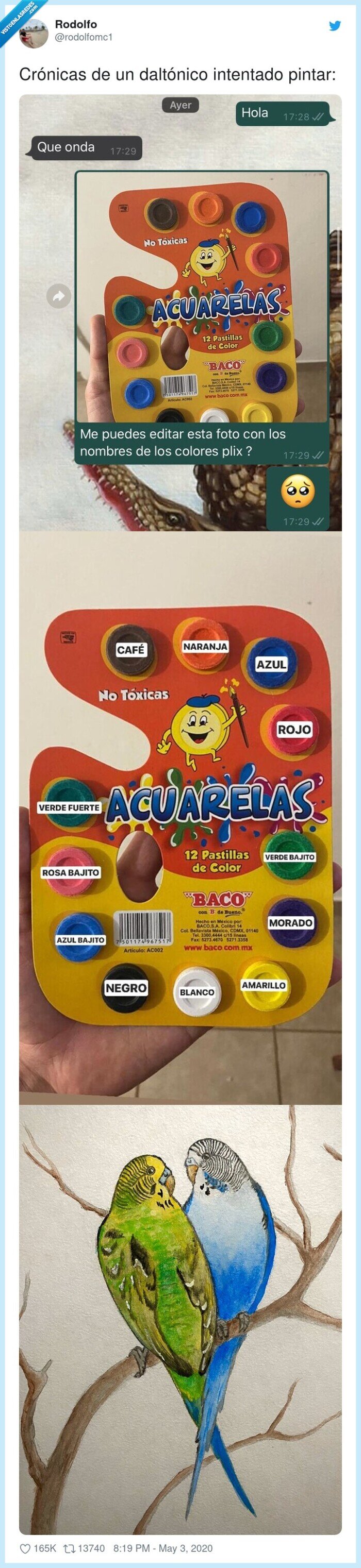 daltónico,crónicas,intentado,pintar