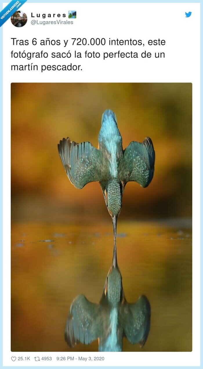 fotógrafo,intentos,perfecta,pescador,martín,720000