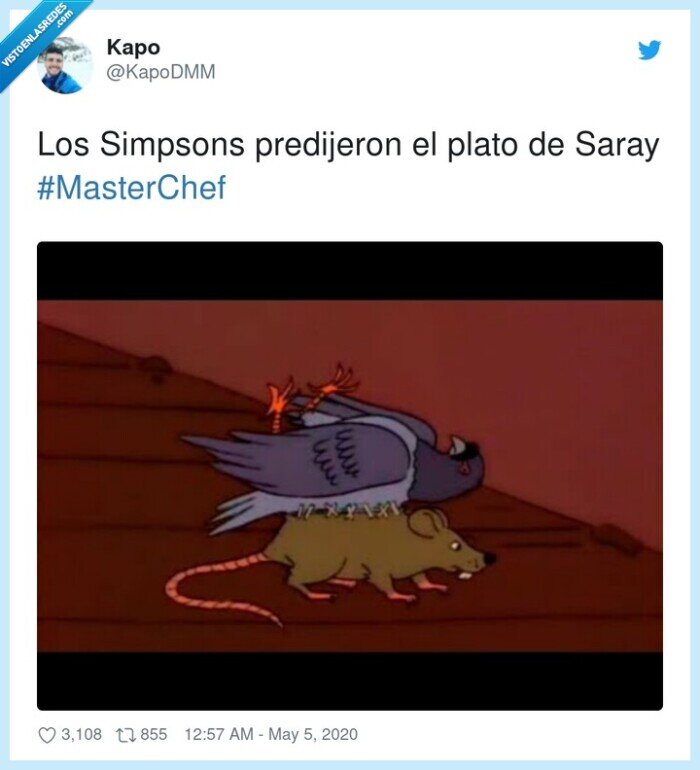#masterchef,predijeron,simpsons,plato,saray,masterchef,paloma