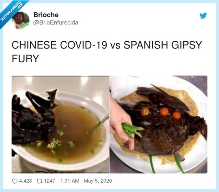chinos,covid19,spanish,gipsy,fury,paloma,murciélago
