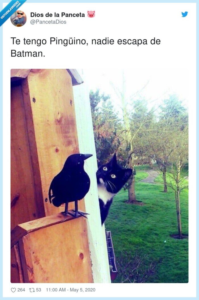pingüino,escapar,batman,tengo,nadie