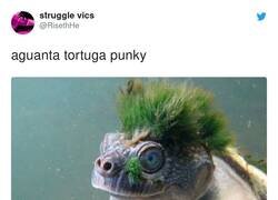 Enlace a Punk turtle is not death, por @RisethHe