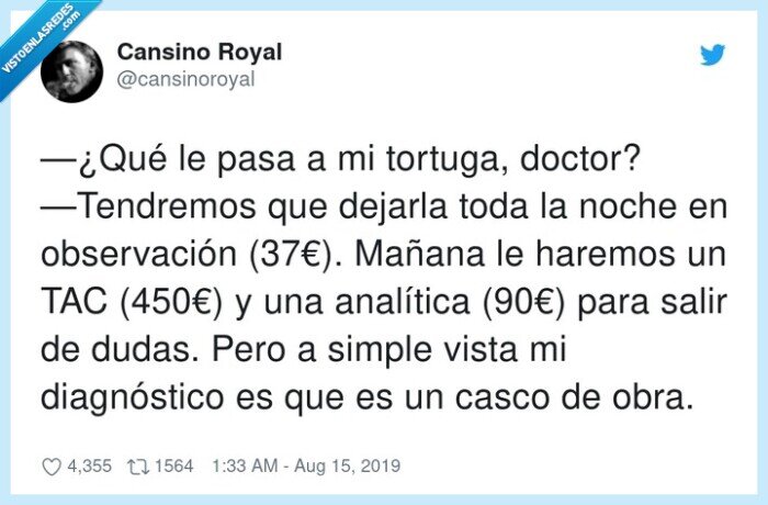 observación,diagnóstico,analítica,tendremos,(450€),tortuga,casco