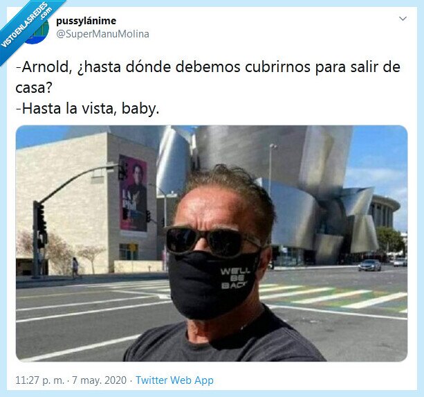 terminator,mascarilla,cubrir