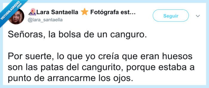 577573 - Las redes colapsan tras ver lo que hay dentro de la barriga de un canguro