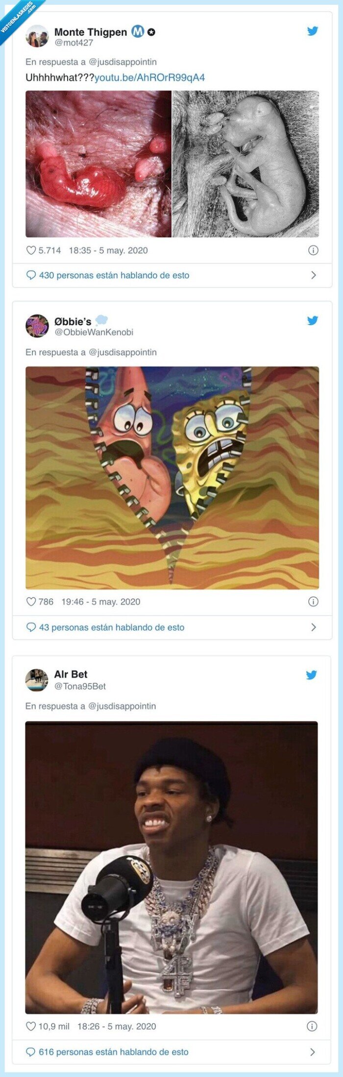 577573 - Las redes colapsan tras ver lo que hay dentro de la barriga de un canguro