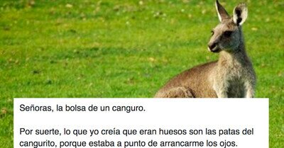 577573 - Las redes colapsan tras ver lo que hay dentro de la barriga de un canguro