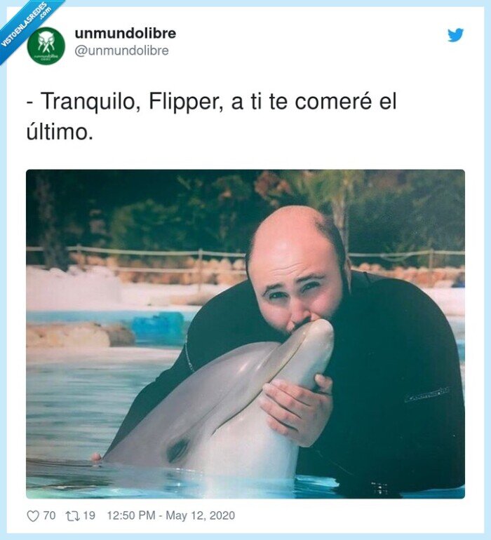 tranquilo,flipper,comeré,delfín