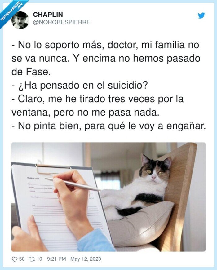 engañar,ventana,suicidio,pensado,gato,familia