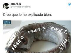 Enlace a Y de esta no saldremos nunca, por @NOROBESPIERRE