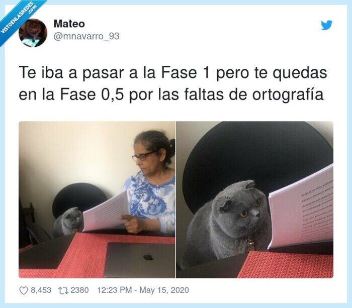 ortografía,faltas,pasar de fase