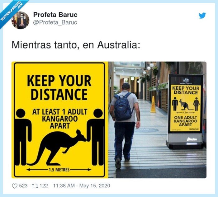 australia,mientras tanto,distancia de separación,coronavirus,canguros