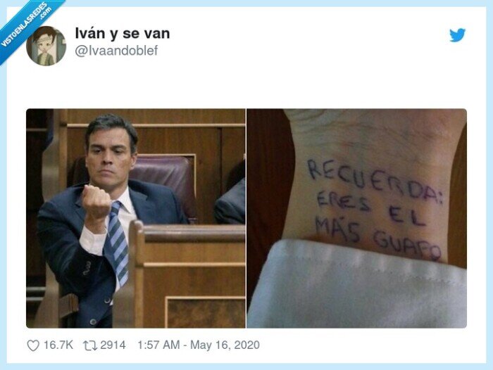 pedro sanchez,chuleta,guapo