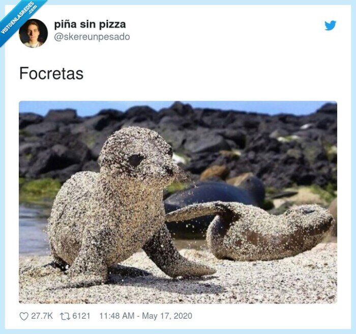 focretas,croquetas,focas