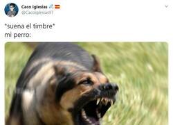 Enlace a Enemigos por naturaleza, por @Cacoiglesias97