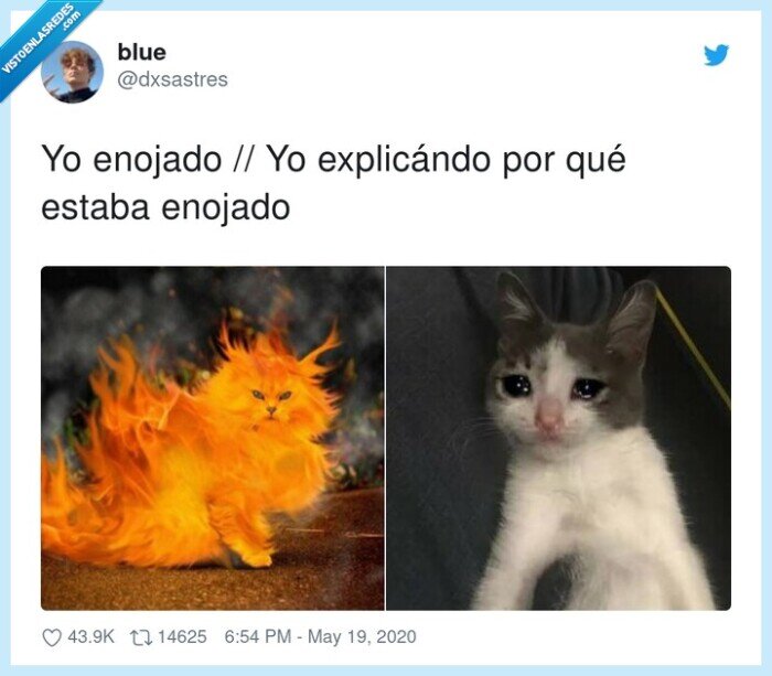 explicar,enojado,enfadado