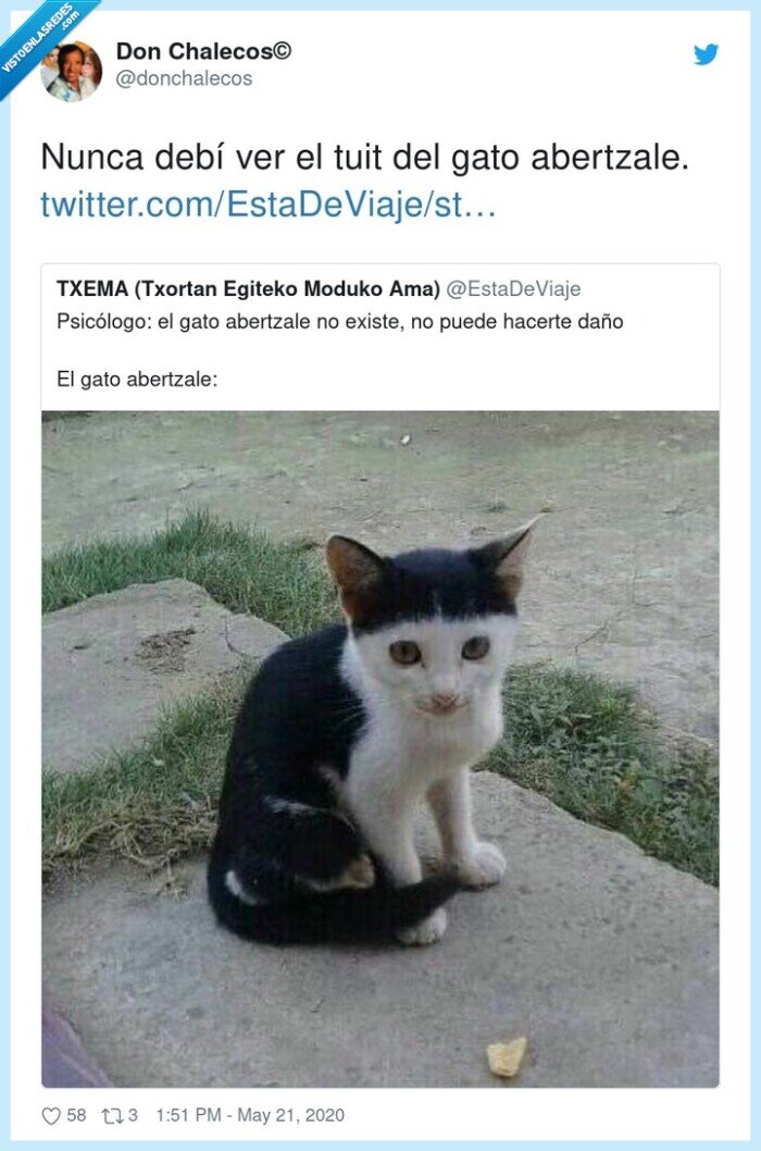 abertzale,peinado,flequillo,gato