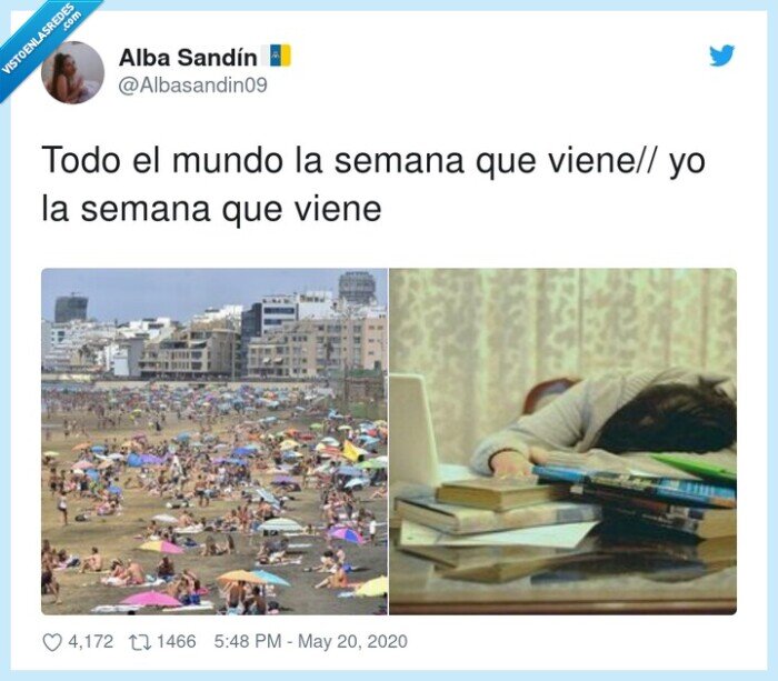 playa,estudiar,semana,fases