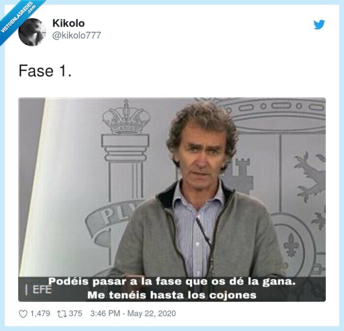 fases,cuarentena,fernando simón