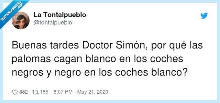 palomas,simón,buenas,coches,negros,blanco