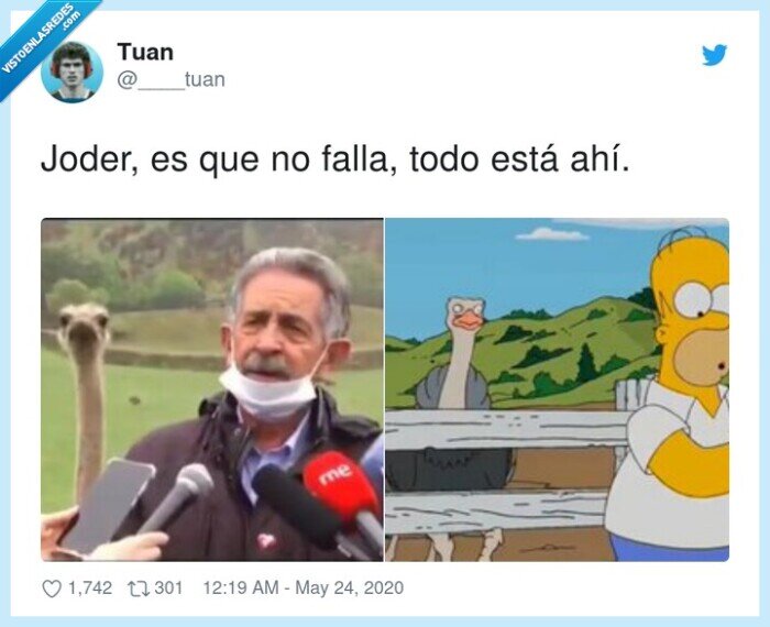 avestruz,revilla,me encanta