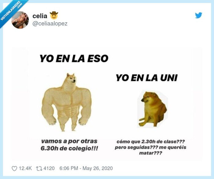 cheems,doge,eso,universidad