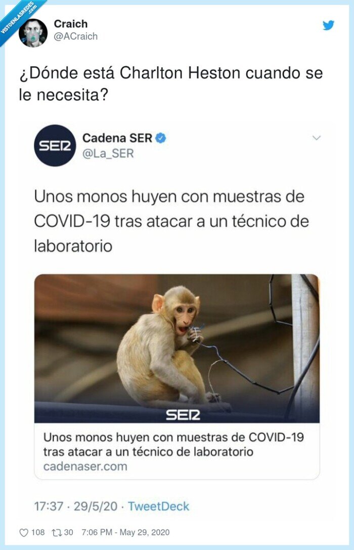 monos,laboratorio,coronavirus,covid,robar