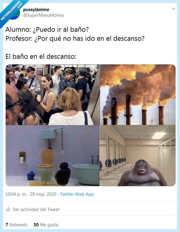 baño,alumno,profesor,descanso
