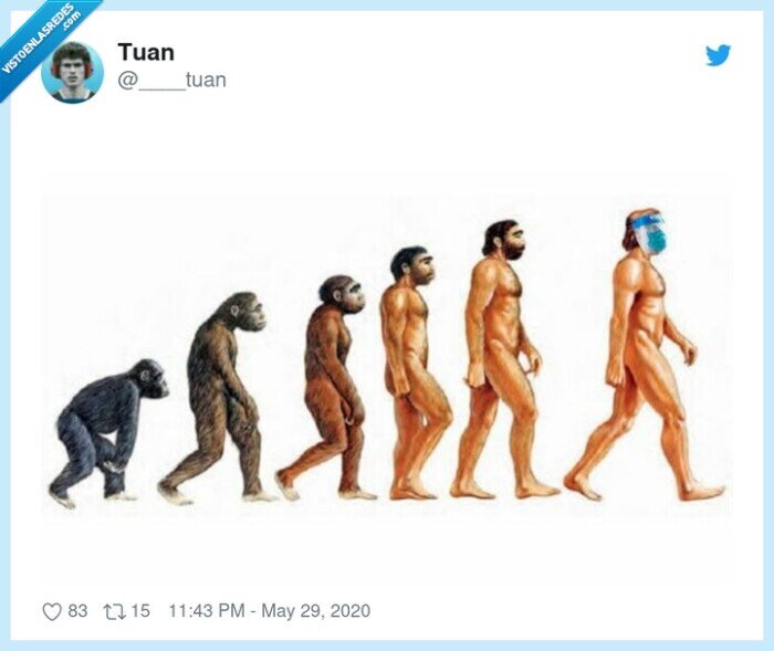 evolución,hombres,mono