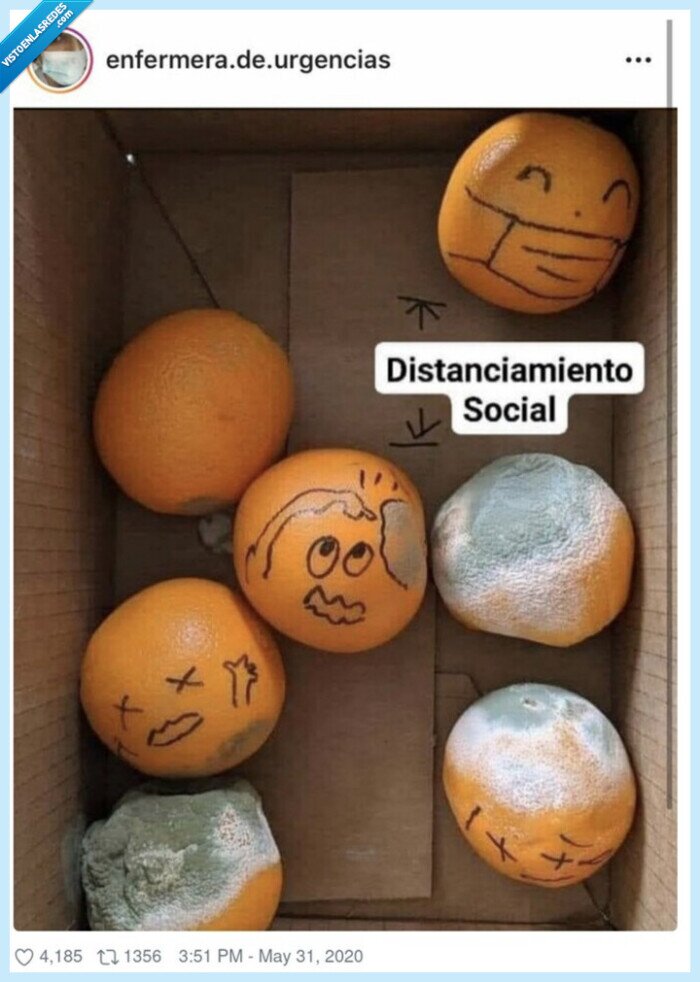 importancia,distancia,seguridad,naranjas,podridas,coronavirus