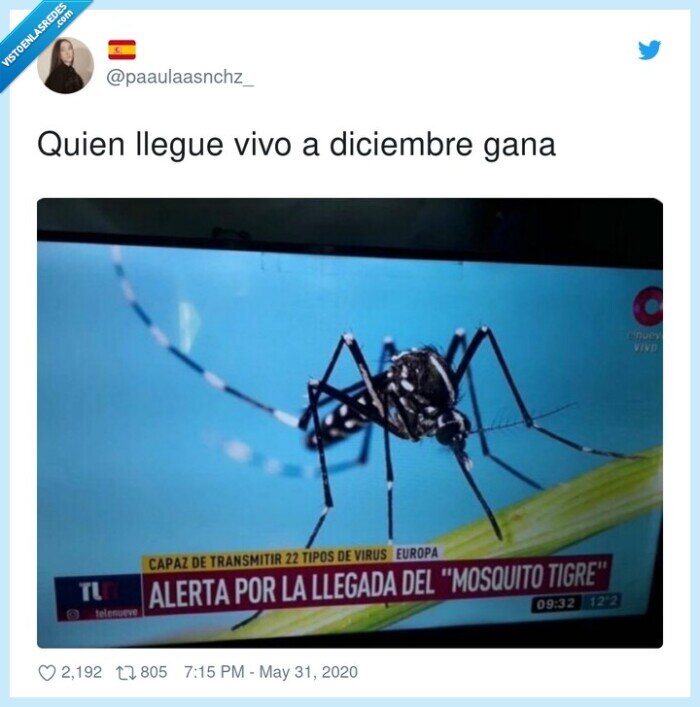 mosquito tigre,2020,desgracias