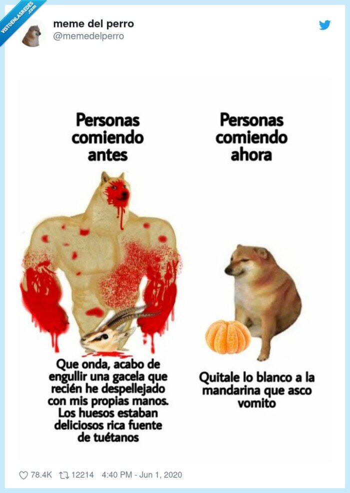 comida,doge,cheems,antes,ahora