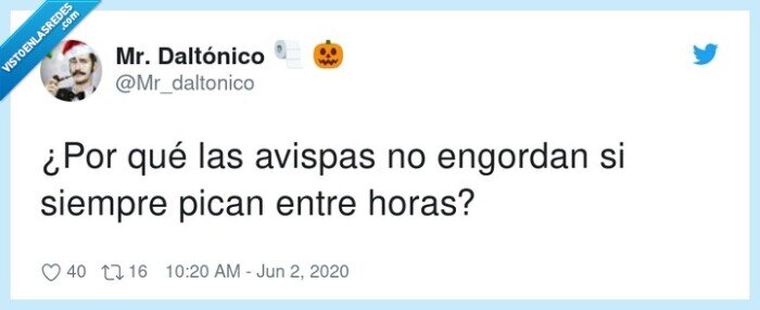 engordar,avispas,siempre,picar,entre horas