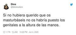 Enlace a ¿Y qué tenías en contra de los t-rex?, por @diostuitero