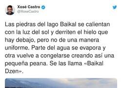 Enlace a No nos merecemos las maravillas que no regala la naturaleza, por @XoseCastro