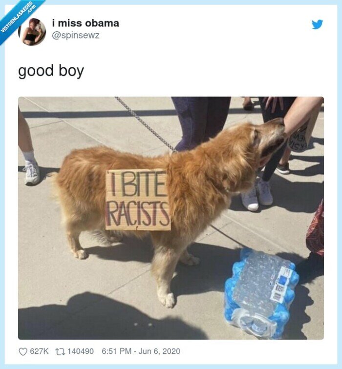 perro,morder,racistas