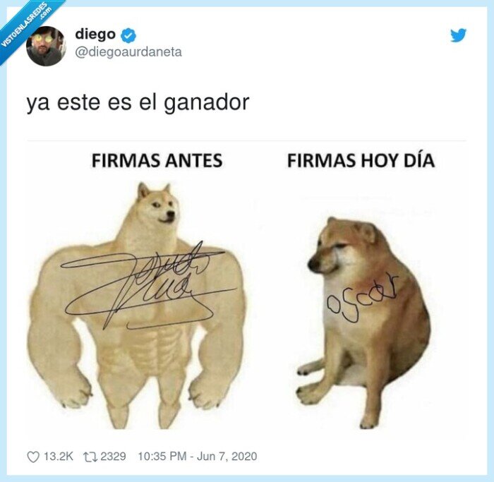 firma,ni&ntilde;o,doge,cheems