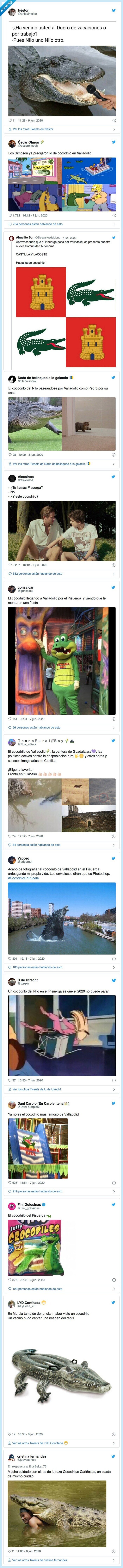 cocodrilo,valladolid,pisuerga,memes