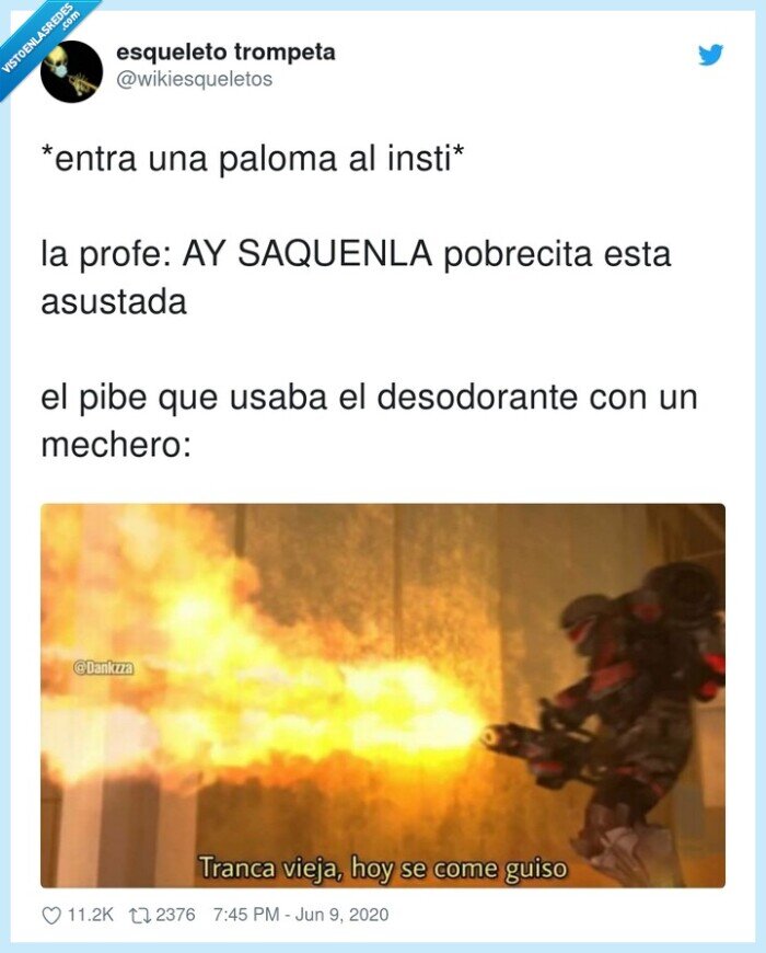 desodorante,pobrecita,paloma,asustada,mechero