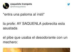 Enlace a Que no quede ni rastro, por @wikiesqueletos