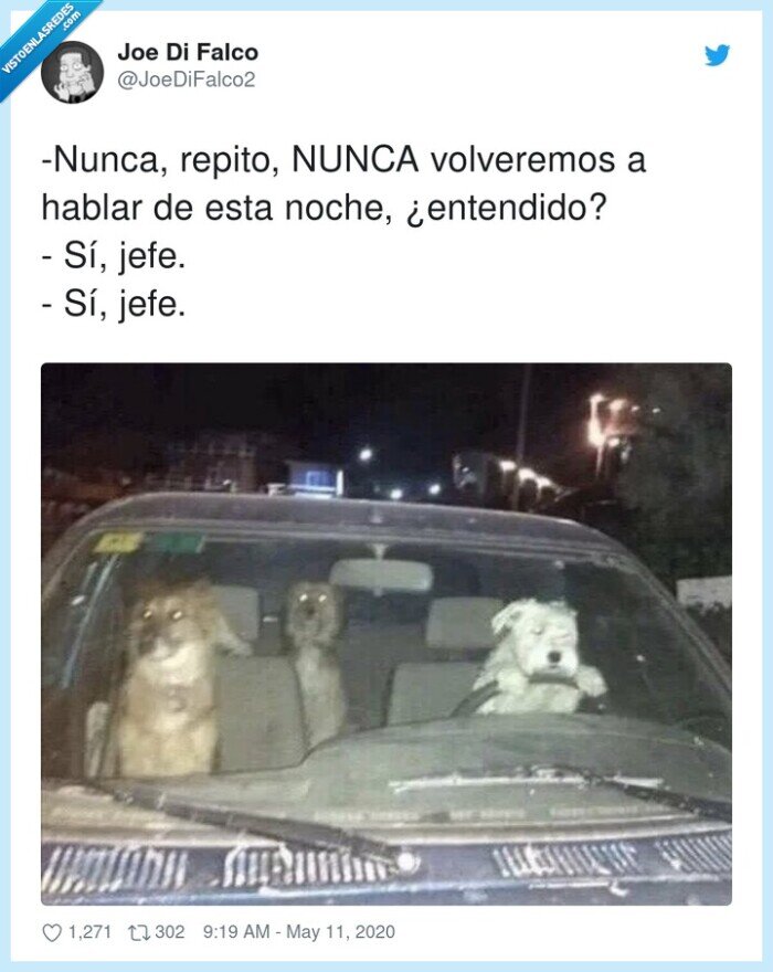 volveremos,entendido,perros,nunca,hablar,noche,coche
