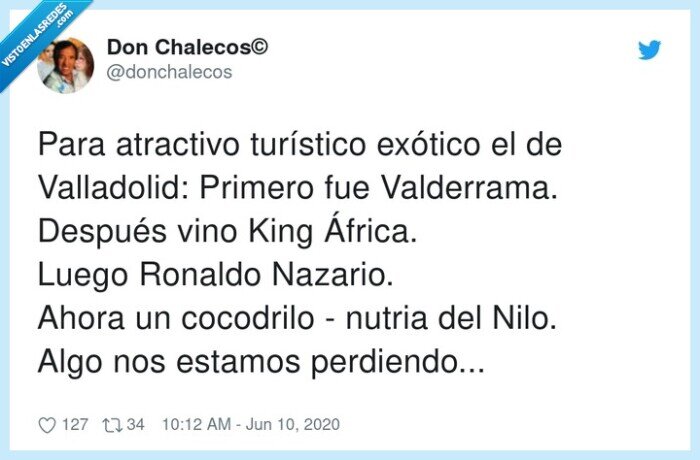 turístico,valladolid,valderrama,perdiendo,cocodrilo,atractivo