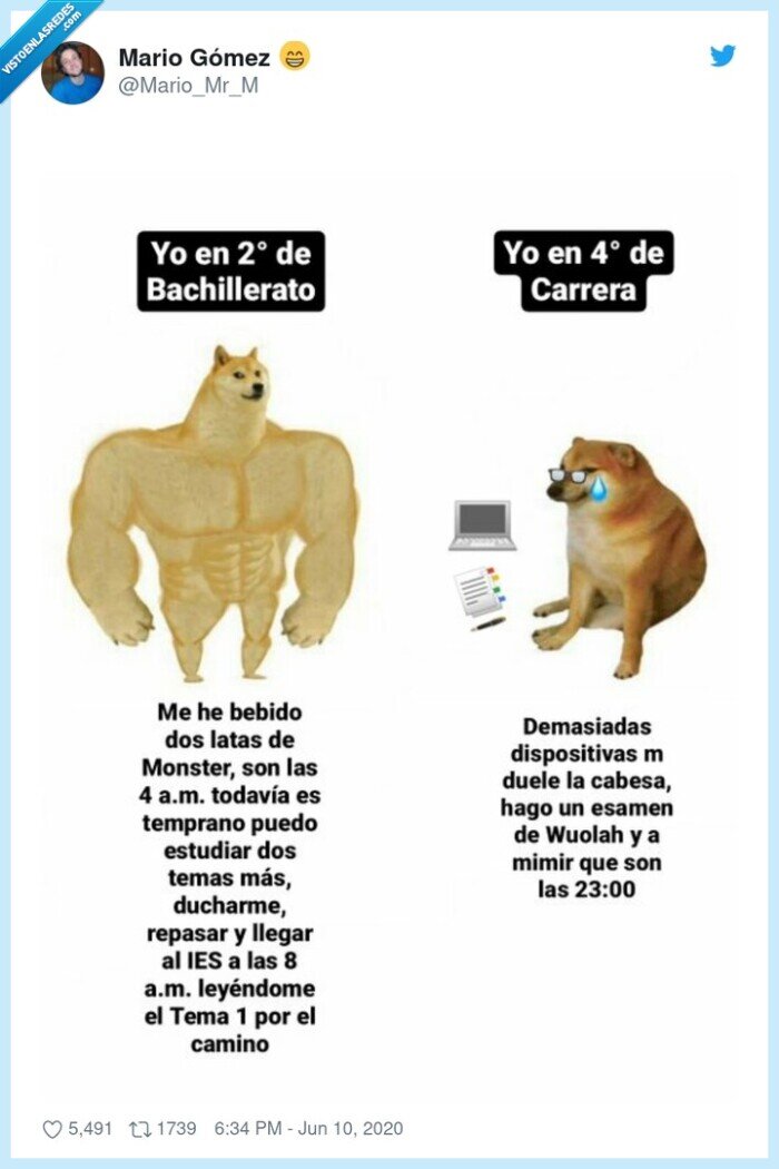 cheems,doge,bachillerato,carrera,apuntes