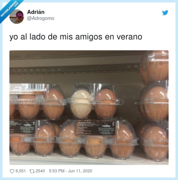 verano,huevos,moreno,blancos,bronceado